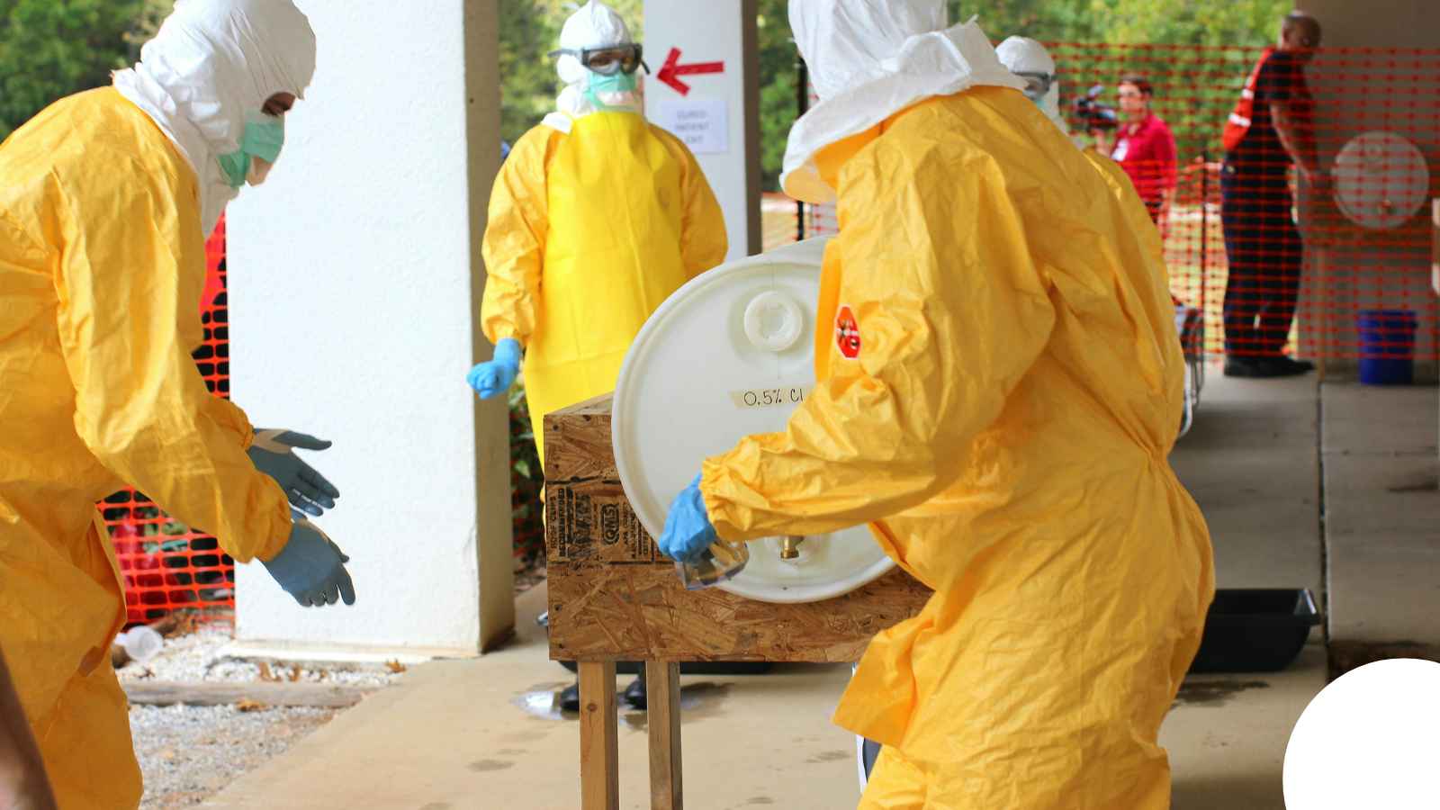 Animal hoarding cleanup in Youngstown, OH — Biohazard Waste Disposal Youngstown